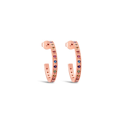Rainbow Hoop Earrings