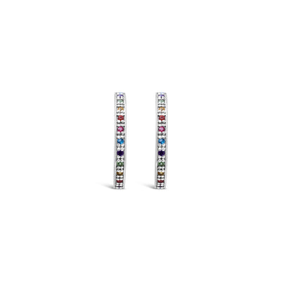 Rainbow Hoop Earrings