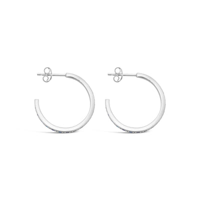 Rainbow Hoop Earrings