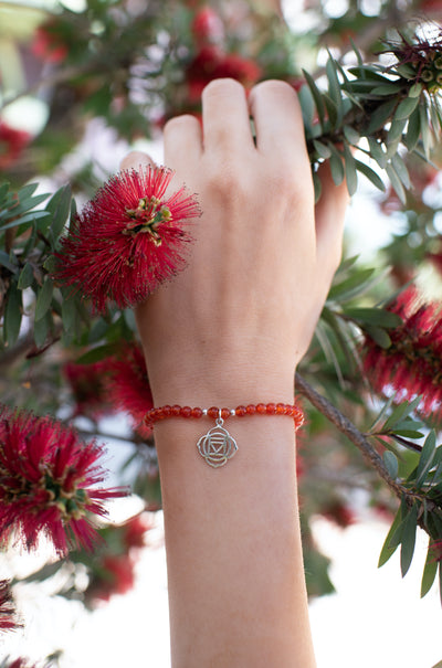 Root Chakra Red Agate Signature Stretch Bracelet