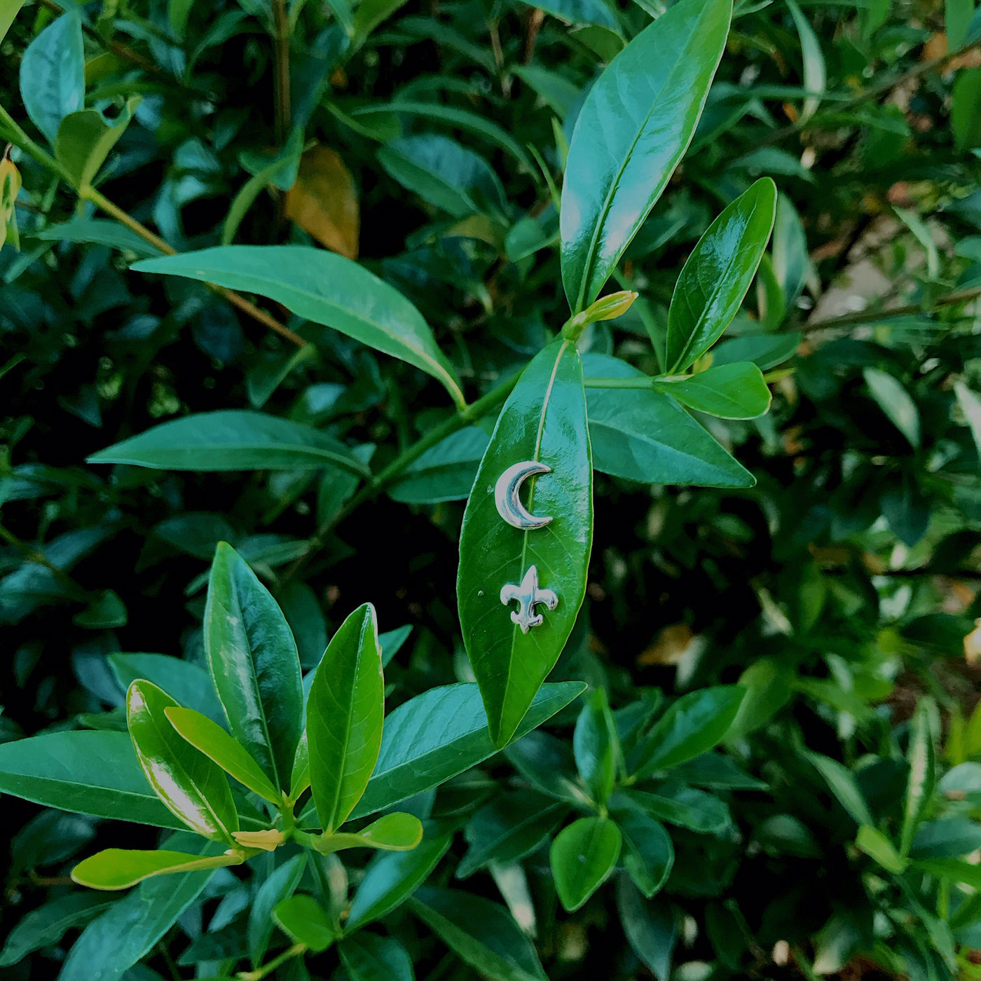 Fleur de Lis & Crescent Earrings