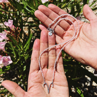 Aries Herkimer Diamond Signature Zodiac Necklace