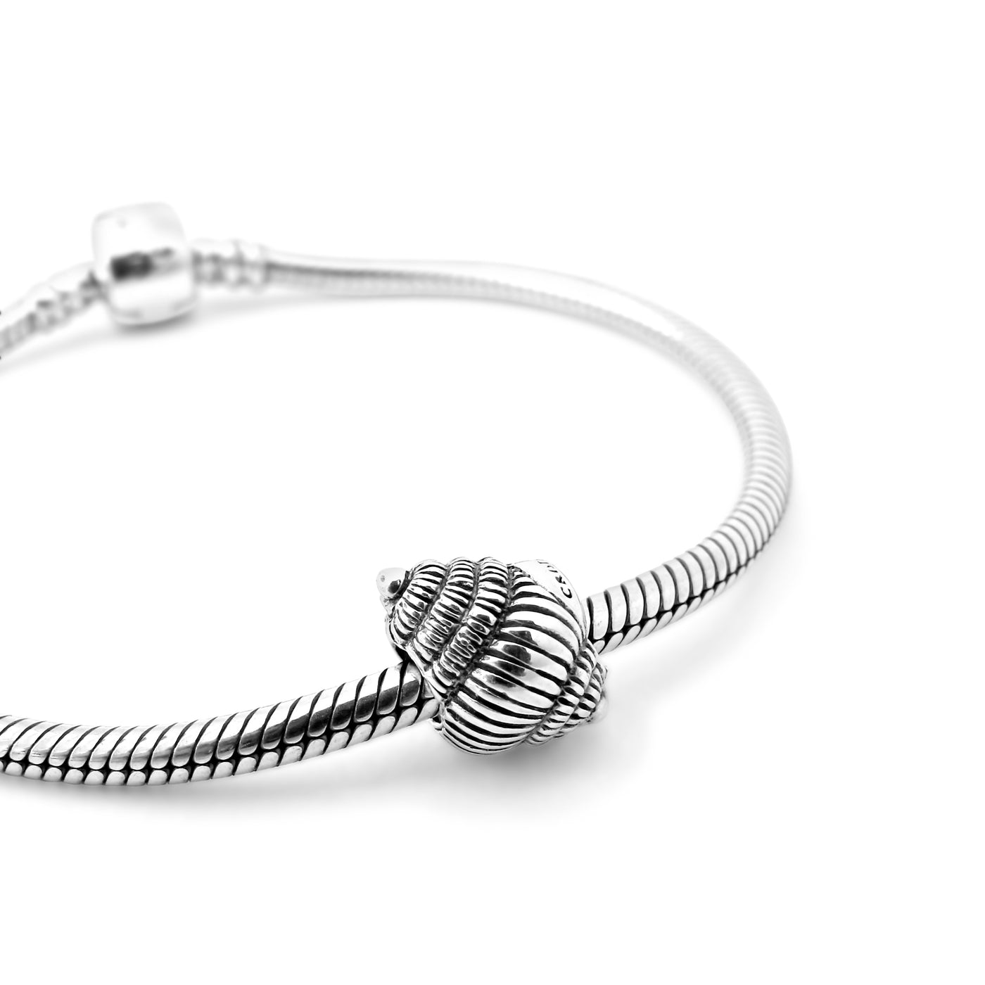 Conch Shell Couture Charm