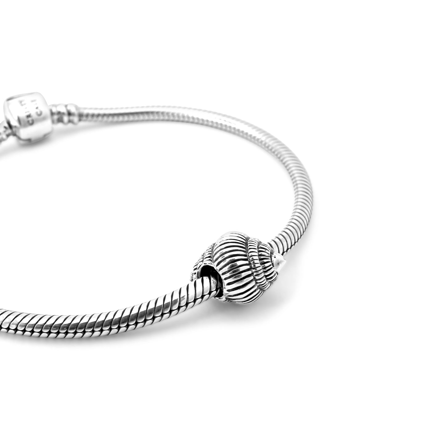 Conch Shell Couture Charm