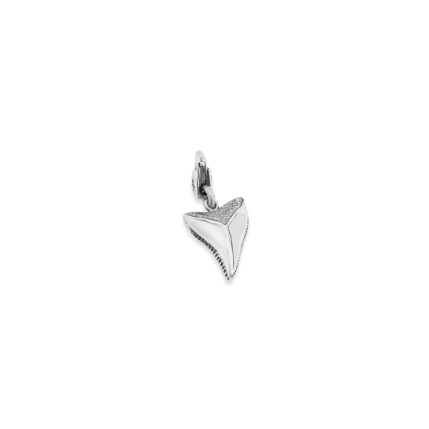 Shark Tooth Clip Charm