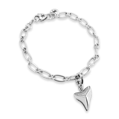 Shark Tooth Clip Charm